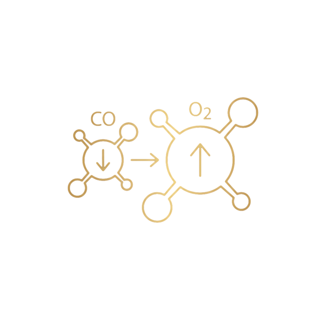 Grafik: 8 bis 12 Stunden nach der letzten Zigarette sinkt der Kohlenmonoxidwert im Blut und der Körper bekommt wieder mehr Sauerstoff